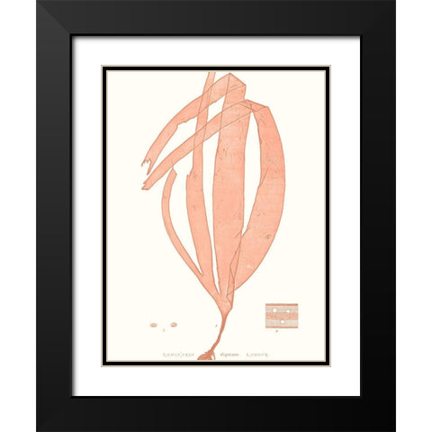 Vivid Coral Seaweed I Black Modern Wood Framed Art Print with Double Matting by Vision Studio