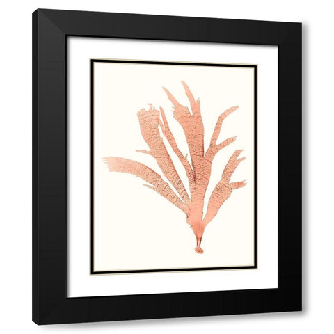 Vivid Coral Seaweed IV Black Modern Wood Framed Art Print with Double Matting by Vision Studio