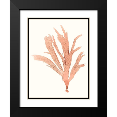 Vivid Coral Seaweed IV Black Modern Wood Framed Art Print with Double Matting by Vision Studio