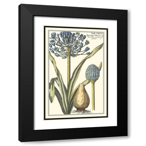 Botanical Beauty II Black Modern Wood Framed Art Print with Double Matting by Vision Studio