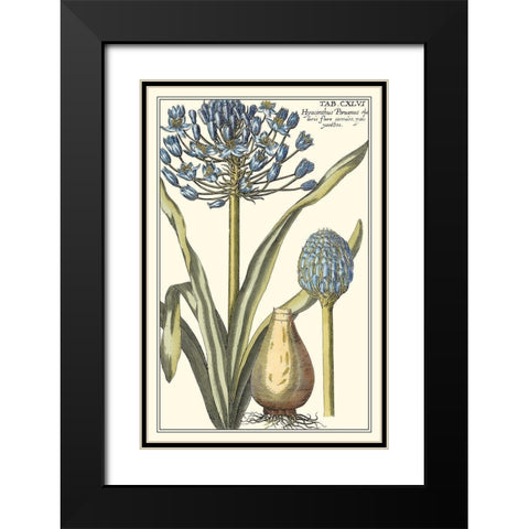 Botanical Beauty II Black Modern Wood Framed Art Print with Double Matting by Vision Studio