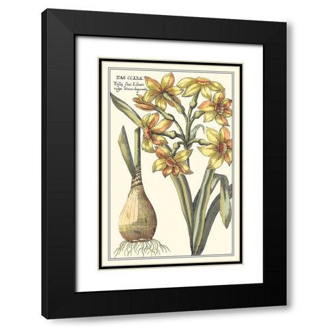 Botanical Beauty IV Black Modern Wood Framed Art Print with Double Matting by Vision Studio