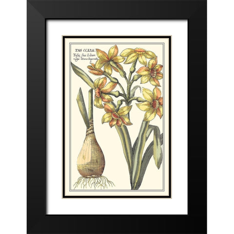 Botanical Beauty IV Black Modern Wood Framed Art Print with Double Matting by Vision Studio