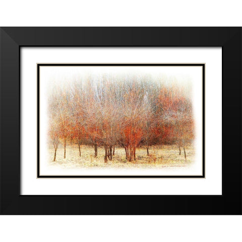 Row of Red Trees Black Modern Wood Framed Art Print with Double Matting by Vest, Chris