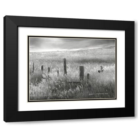 Fence Line Flight II Black Modern Wood Framed Art Print with Double Matting by Vest, Chris