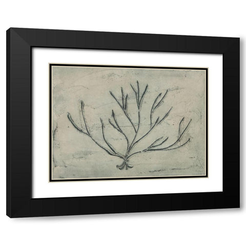 Sea Bevy III Black Modern Wood Framed Art Print with Double Matting by Stramel, Renee W.