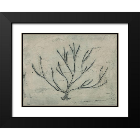 Sea Bevy III Black Modern Wood Framed Art Print with Double Matting by Stramel, Renee W.
