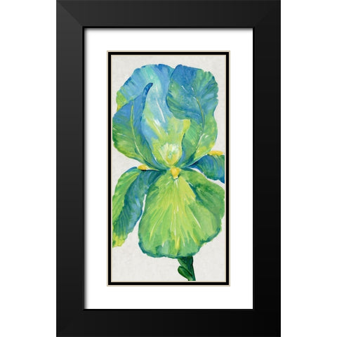 Iris Bloom in Green I Black Modern Wood Framed Art Print with Double Matting by OToole, Tim