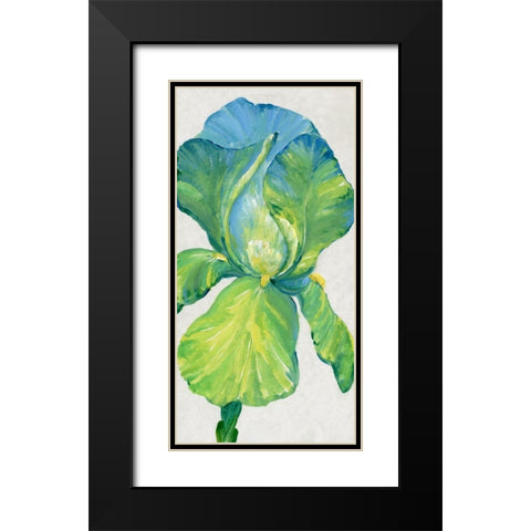 Iris Bloom in Green II Black Modern Wood Framed Art Print with Double Matting by OToole, Tim