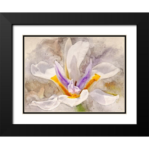 Playful Petals I Black Modern Wood Framed Art Print with Double Matting by Robertson, Leda