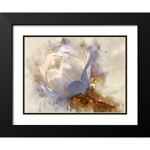 Playful Petals IV Black Modern Wood Framed Art Print with Double Matting by Robertson, Leda