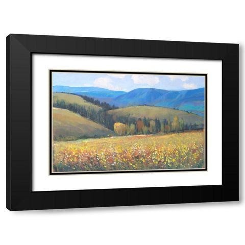 Mountain Pass I Black Modern Wood Framed Art Print with Double Matting by OToole, Tim