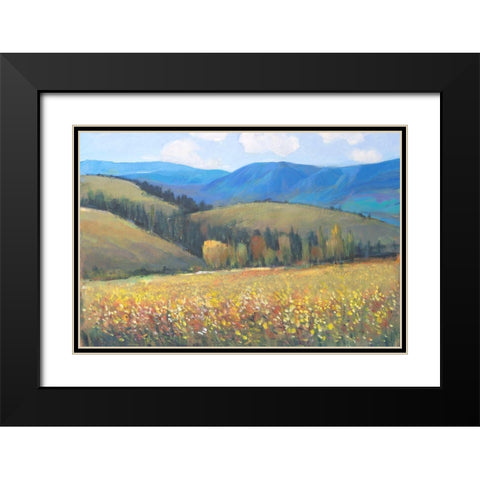 Mountain Pass I Black Modern Wood Framed Art Print with Double Matting by OToole, Tim