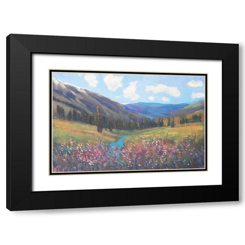 Mountain Pass II Black Modern Wood Framed Art Print with Double Matting by OToole, Tim