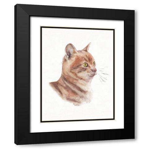 Orange Cat I Black Modern Wood Framed Art Print with Double Matting by Wang, Melissa