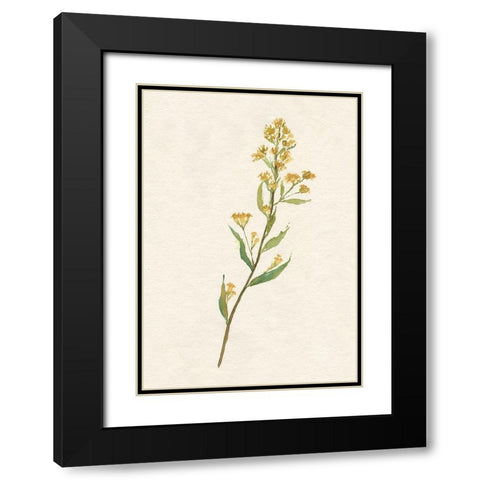 Delicate Yellow I Black Modern Wood Framed Art Print with Double Matting by Goldberger, Jennifer