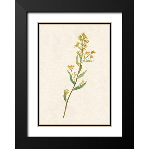 Delicate Yellow I Black Modern Wood Framed Art Print with Double Matting by Goldberger, Jennifer