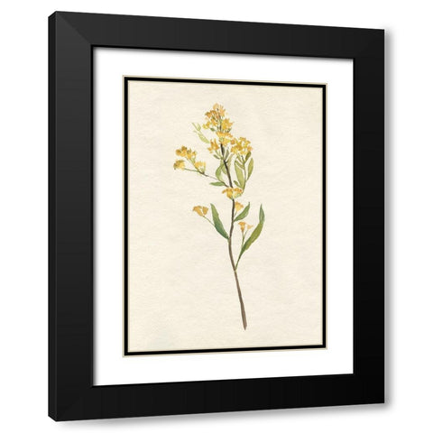 Delicate Yellow II Black Modern Wood Framed Art Print with Double Matting by Goldberger, Jennifer