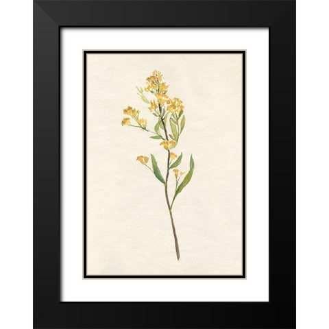 Delicate Yellow II Black Modern Wood Framed Art Print with Double Matting by Goldberger, Jennifer