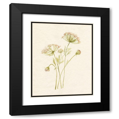 Blush Lace I Black Modern Wood Framed Art Print with Double Matting by Goldberger, Jennifer