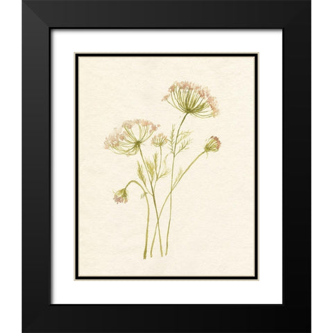 Blush Lace I Black Modern Wood Framed Art Print with Double Matting by Goldberger, Jennifer