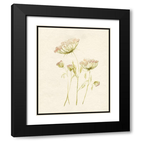 Blush Lace II Black Modern Wood Framed Art Print with Double Matting by Goldberger, Jennifer