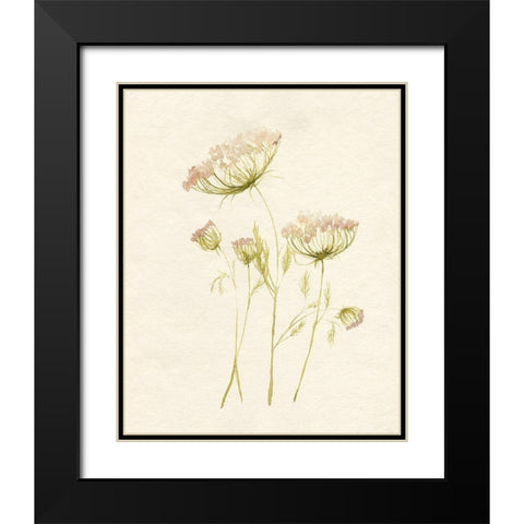 Blush Lace II Black Modern Wood Framed Art Print with Double Matting by Goldberger, Jennifer