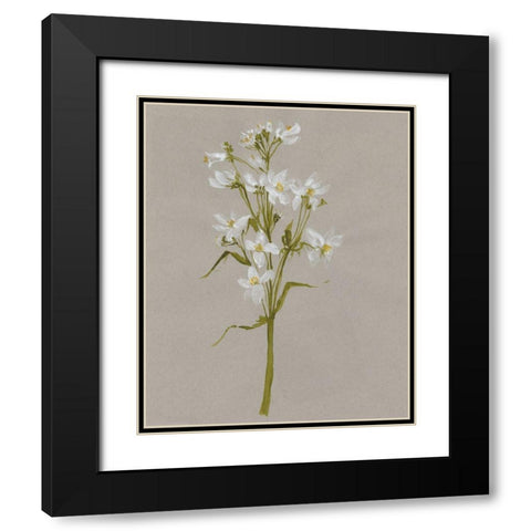 White Field Flowers I Black Modern Wood Framed Art Print with Double Matting by Goldberger, Jennifer