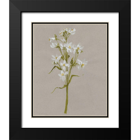 White Field Flowers I Black Modern Wood Framed Art Print with Double Matting by Goldberger, Jennifer