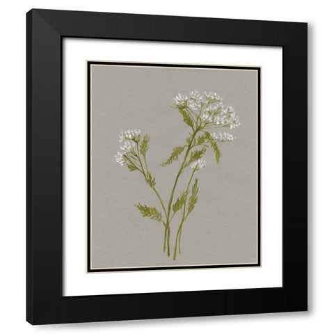 White Field Flowers III Black Modern Wood Framed Art Print with Double Matting by Goldberger, Jennifer