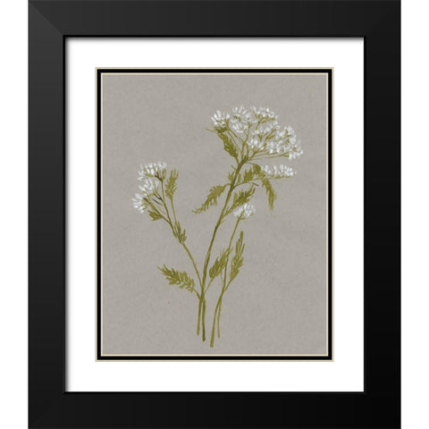 White Field Flowers III Black Modern Wood Framed Art Print with Double Matting by Goldberger, Jennifer