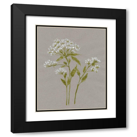 White Field Flowers IV Black Modern Wood Framed Art Print with Double Matting by Goldberger, Jennifer