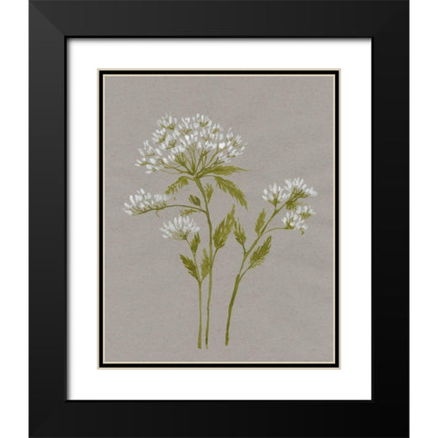 White Field Flowers IV Black Modern Wood Framed Art Print with Double Matting by Goldberger, Jennifer