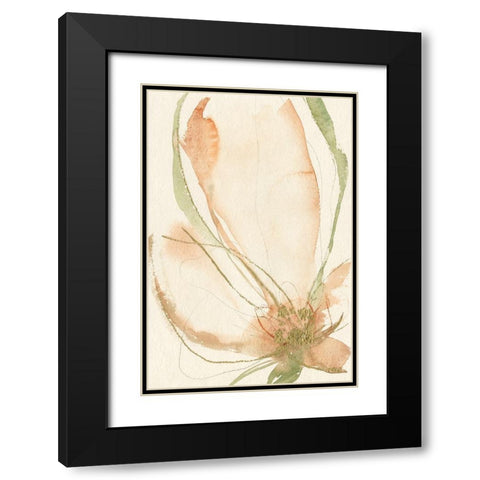 Petal Sketches I Black Modern Wood Framed Art Print with Double Matting by Goldberger, Jennifer