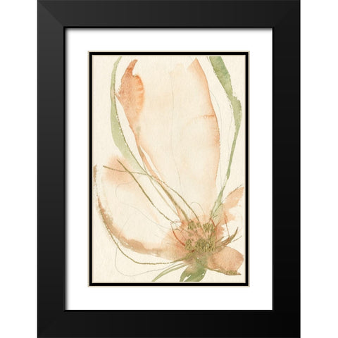 Petal Sketches I Black Modern Wood Framed Art Print with Double Matting by Goldberger, Jennifer