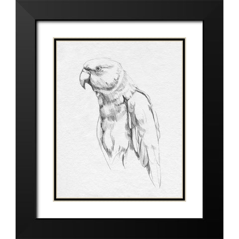 Parrot Portrait I Black Modern Wood Framed Art Print with Double Matting by Caroline, Emma