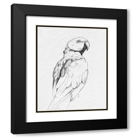 Parrot Portrait II Black Modern Wood Framed Art Print with Double Matting by Caroline, Emma