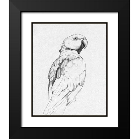 Parrot Portrait II Black Modern Wood Framed Art Print with Double Matting by Caroline, Emma