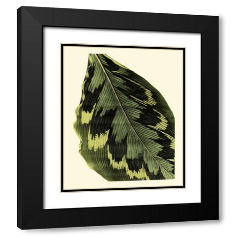 Grandiose Leaves I Black Modern Wood Framed Art Print with Double Matting by Vision Studio