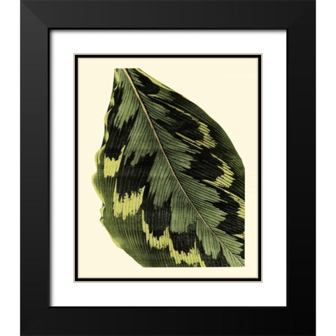 Grandiose Leaves I Black Modern Wood Framed Art Print with Double Matting by Vision Studio