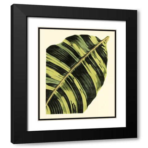 Grandiose Leaves II Black Modern Wood Framed Art Print with Double Matting by Vision Studio