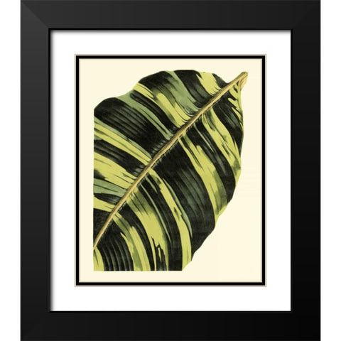 Grandiose Leaves II Black Modern Wood Framed Art Print with Double Matting by Vision Studio