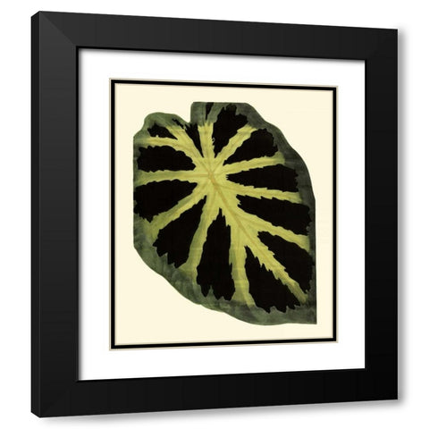 Grandiose Leaves III Black Modern Wood Framed Art Print with Double Matting by Vision Studio