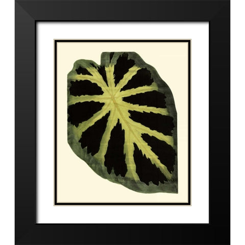 Grandiose Leaves III Black Modern Wood Framed Art Print with Double Matting by Vision Studio