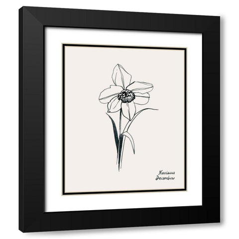 Annual Flowers XII Black Modern Wood Framed Art Print with Double Matting by Popp, Grace