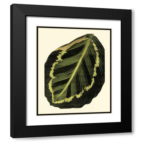 Grandiose Leaves IV Black Modern Wood Framed Art Print with Double Matting by Vision Studio