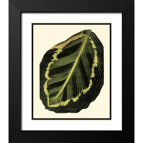 Grandiose Leaves IV Black Modern Wood Framed Art Print with Double Matting by Vision Studio