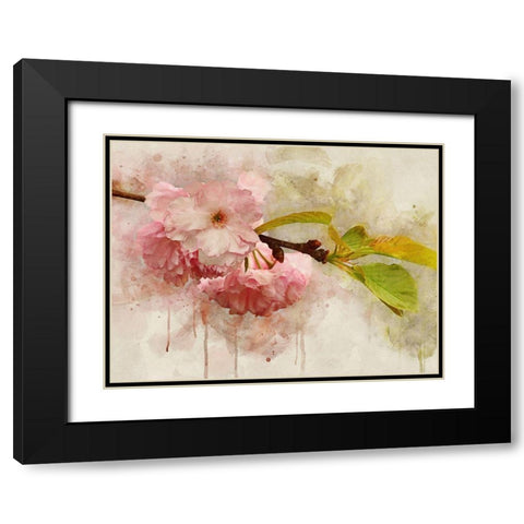 Blossom Elegance I Black Modern Wood Framed Art Print with Double Matting by Robertson, Leda