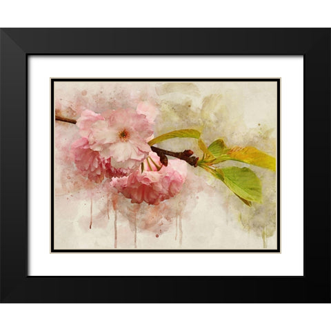 Blossom Elegance I Black Modern Wood Framed Art Print with Double Matting by Robertson, Leda