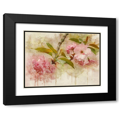 Blossom Elegance II Black Modern Wood Framed Art Print with Double Matting by Robertson, Leda